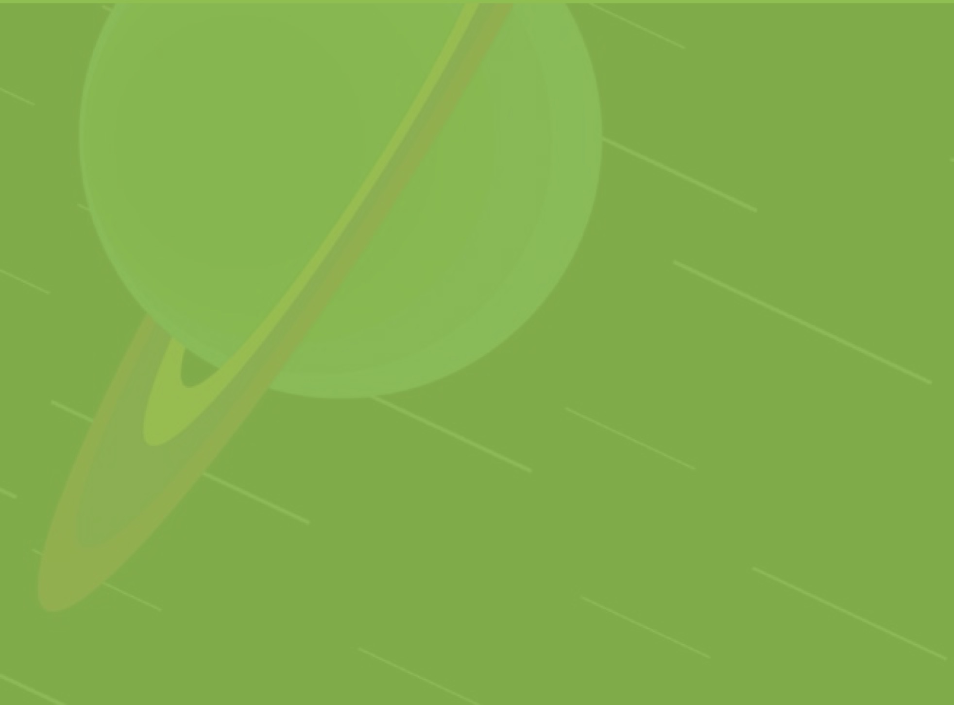 motion graphics